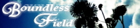 BoundlessField